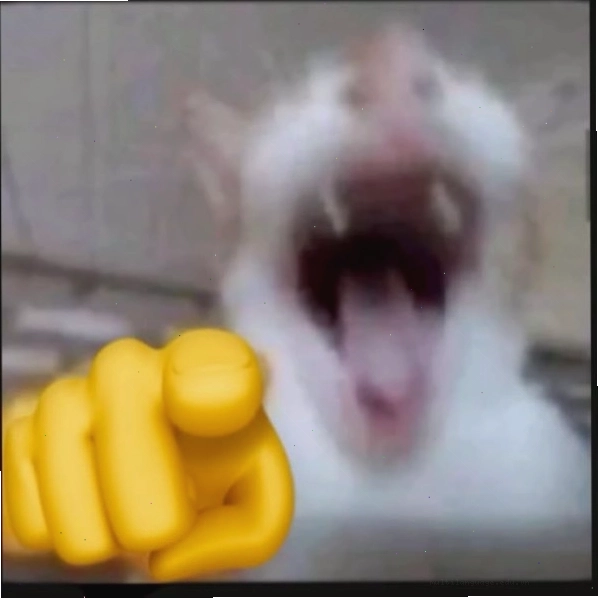 Meme mặt phán xét ấn tượng