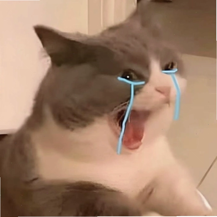 Meme mèo khóc cười với biểu cảm hài hước
