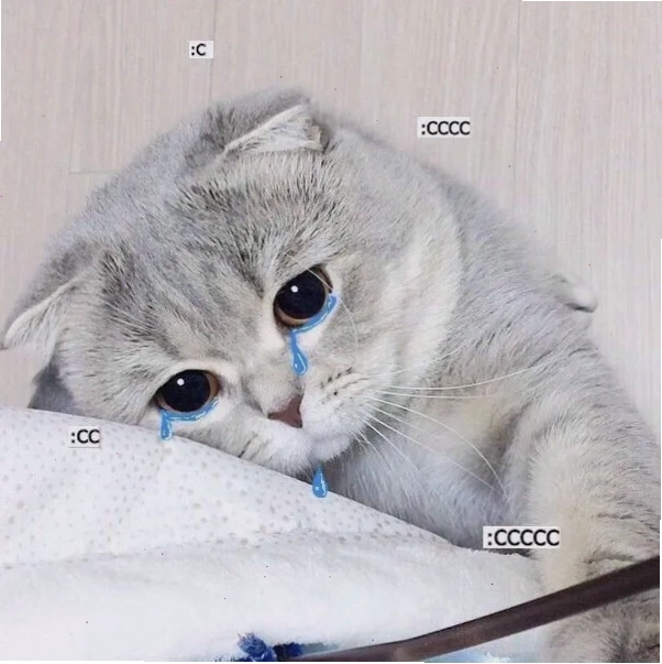 Meme mèo khóc thét buồn bã cute