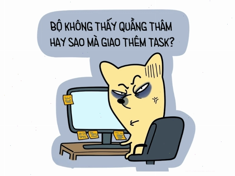 Meme mèo không thấy quầng thâm