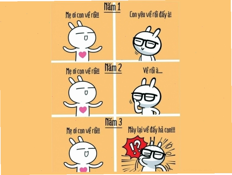 Meme mèo thái độ phụ huynh