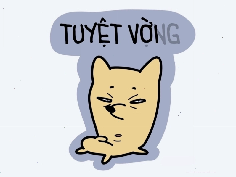 Meme mèo tuyệt vời và tuyệt vọng