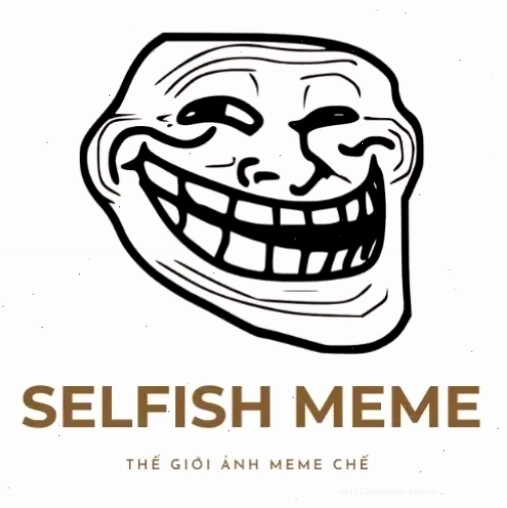 Meme mèo với biểu cảm độc đáo