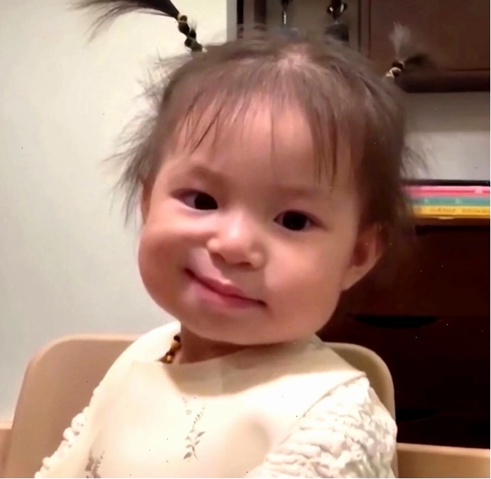 Meme Pam thể hiện biểu cảm ngộ nghĩnh đáng yêu