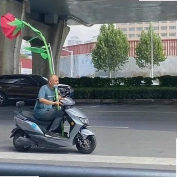 Meme tặng hoa hồng thể hiện tình yêu nồng cháy
