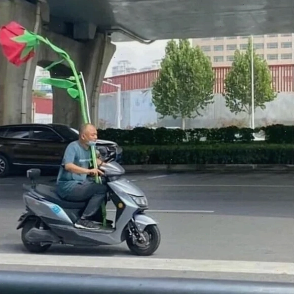 Meme tặng hoa hồng với thông điệp chúc mừng