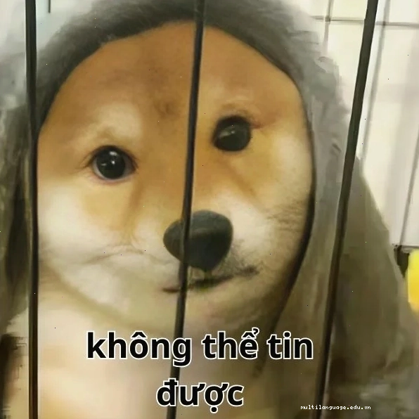 Meme thể hiện sự kinh ngạc "không thể tin được"