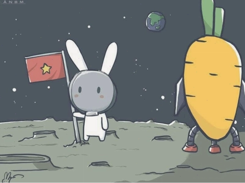 Meme thỏ 7 màu với biểu cảm dễ thương