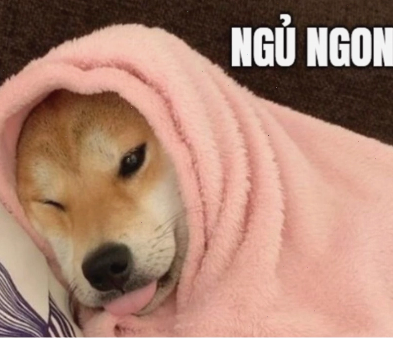 Meme thỏ con đang lim dim ngủ
