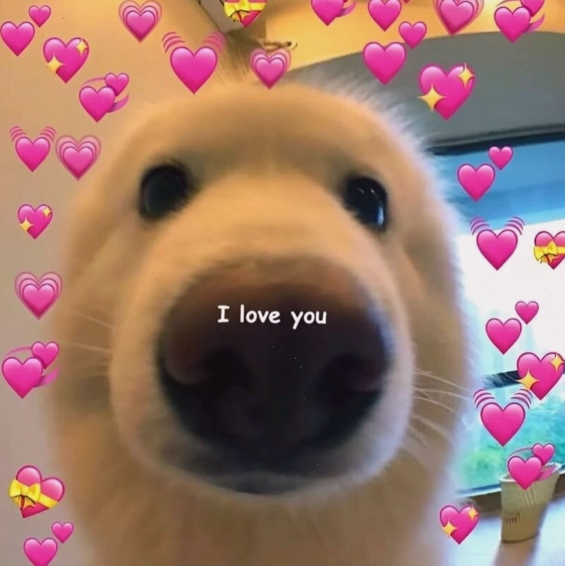 Meme tình yêu thể hiện sự ngượng ngùng khi tỏ tình