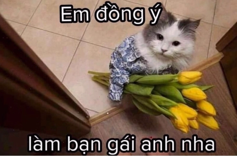 Meme tình yêu thể hiện sự thấu hiểu