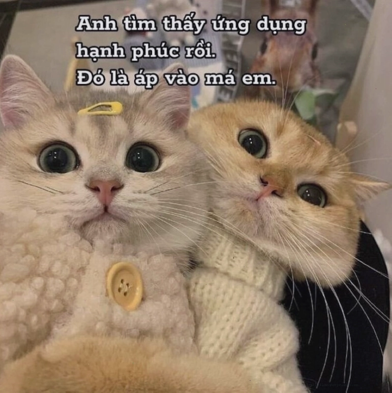 Meme tình yêu về cảm xúc lẫn lộn