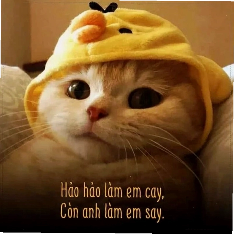 Meme tình yêu về sự chờ đợi