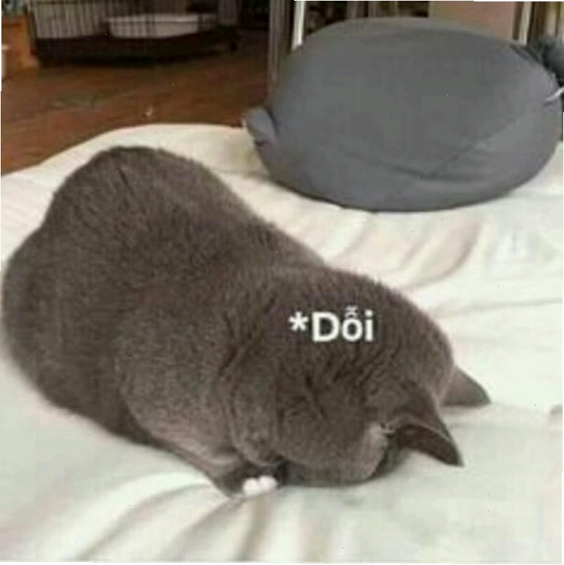 Meme tình yêu với chú chó đang làm nũng