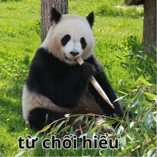 Meme "từ chối hiểu" khi đối mặt với thông tin khó hiểu