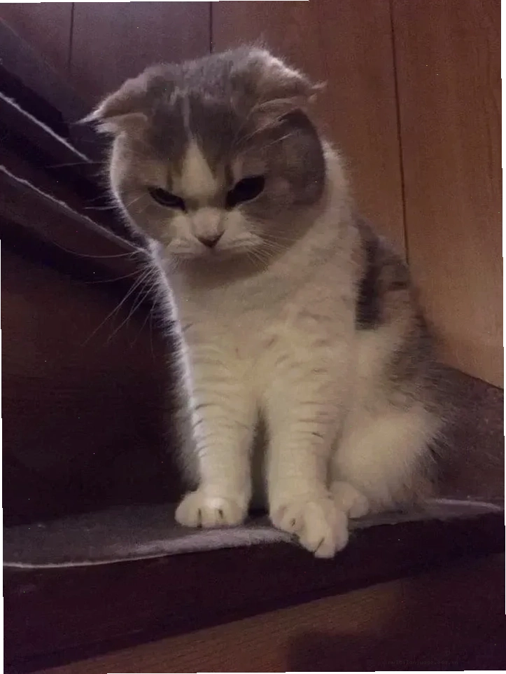 Meme về kết quả không như mong đợi kèm biểu cảm cay cú