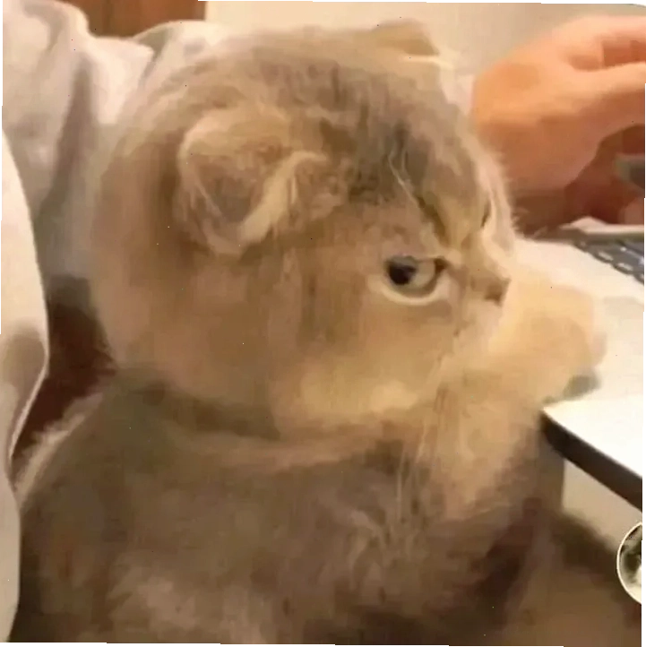 Meme về sự bực bội khi đồng đội làm hỏng chiến thắng
