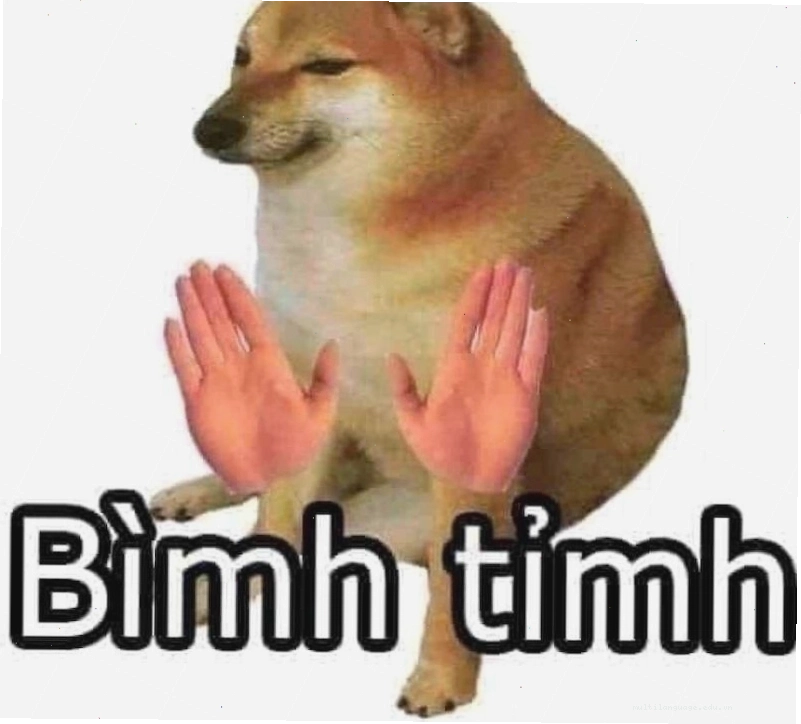 Meme vì bạn xứng đáng với phong cách hài hước, dí dỏm