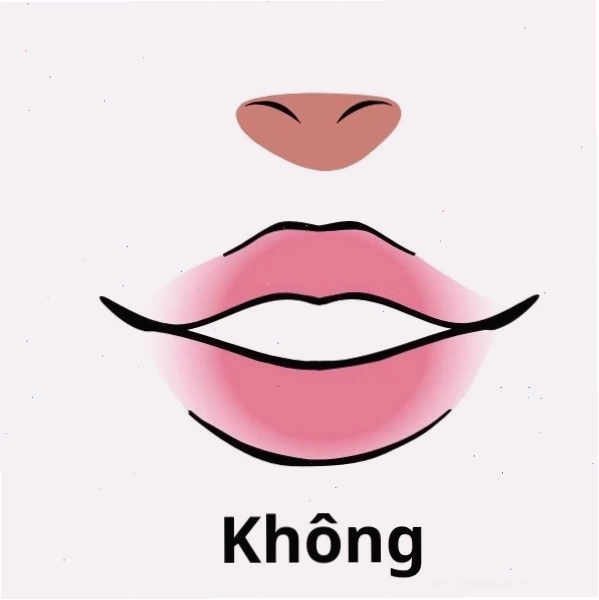 Meme với dòng chữ "Không meme" thể hiện sự từ chối hài hước