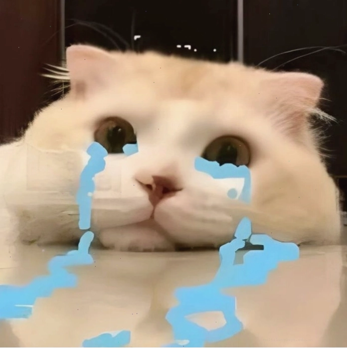 Mèo biểu cảm từ buồn đến vui trong meme
