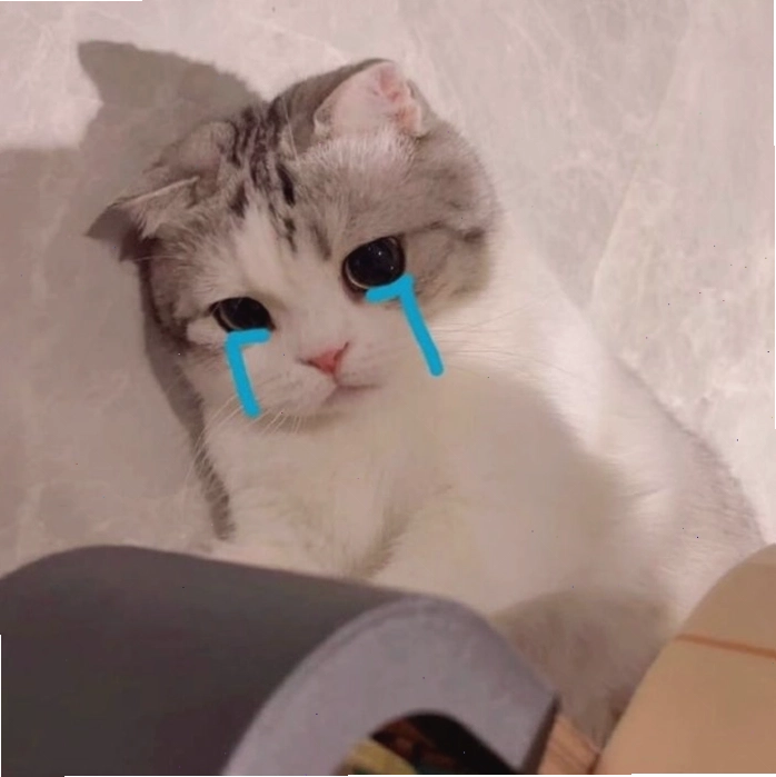 Mèo biểu cảm vui vẻ trong meme