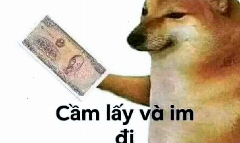 Mèo bực bội hài hước
