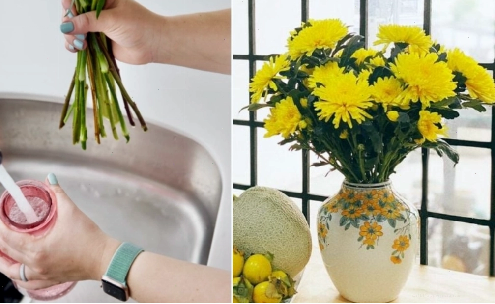 Mẹo giữ hoa cúc tươi lâu sau khi cắm