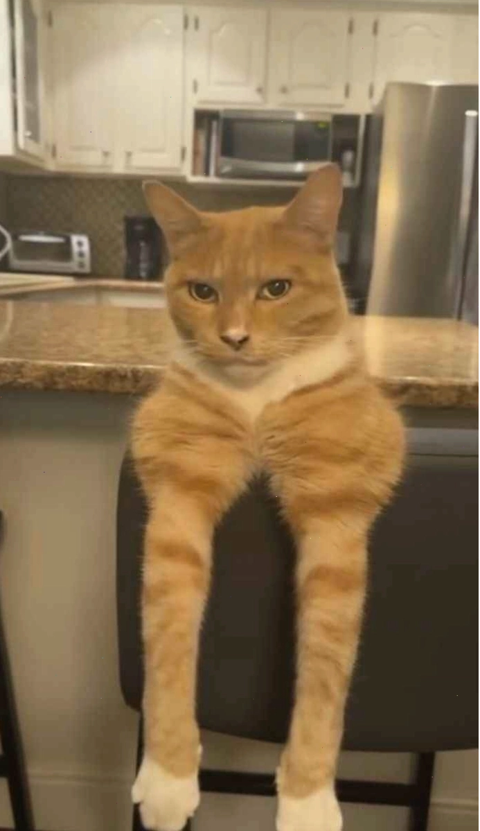 Mewing Meme thể hiện sự ngạc nhiên