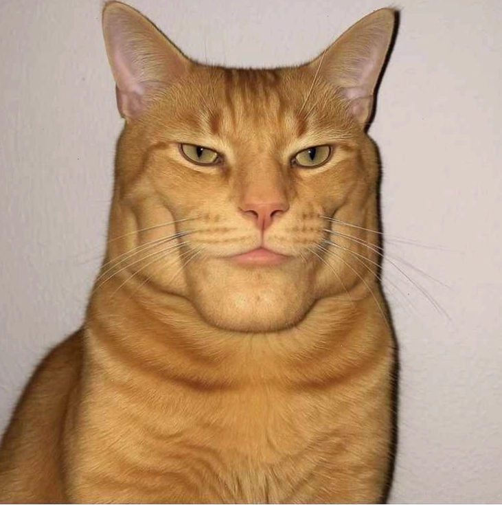Mewing Meme với nhiều biểu cảm khác nhau