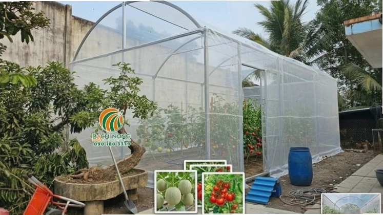Mô hình nhà kính mini trồng rau, cây cảnh nhỏ gọn