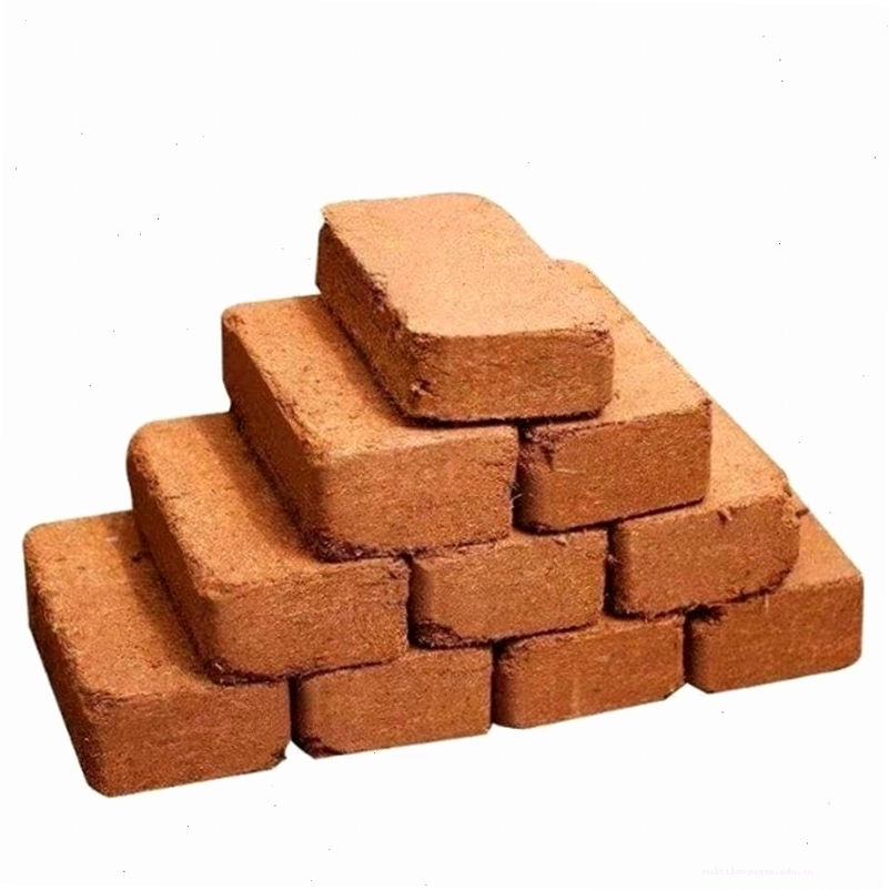 Mụn dừa ép bánh đã qua xử lý