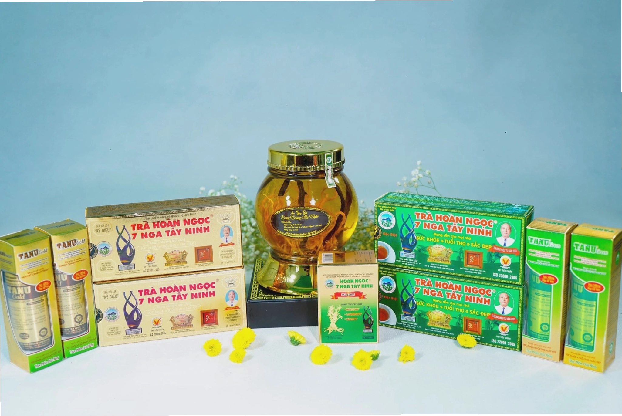 Pha trà từ cây Hoàn Ngọc khô giúp thanh nhiệt và giải độc cơ thể