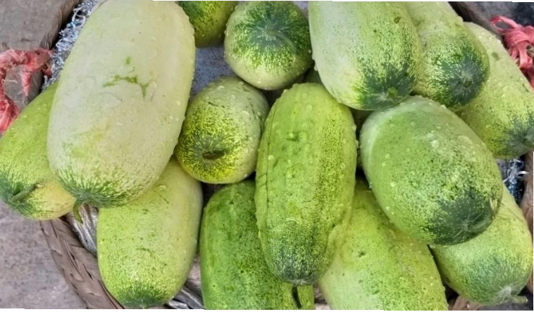 Phân biệt dưa chuột và dưa mèo