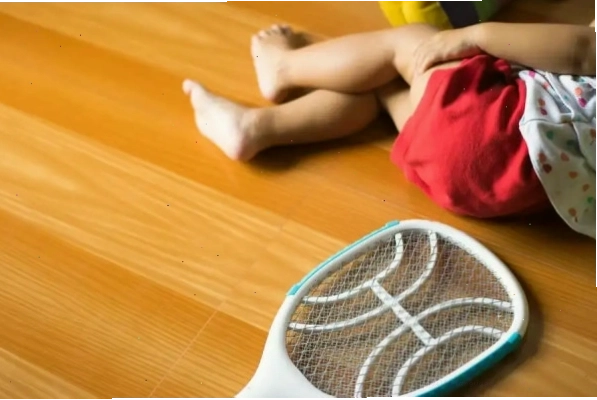 Phòng trừ sâu bệnh cho cây mồng tơi
