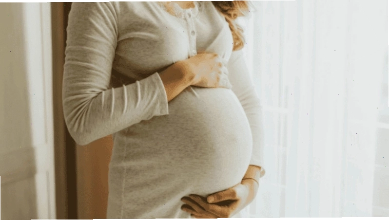 Phụ nữ có thai không nên sử dụng cây huyết dụ