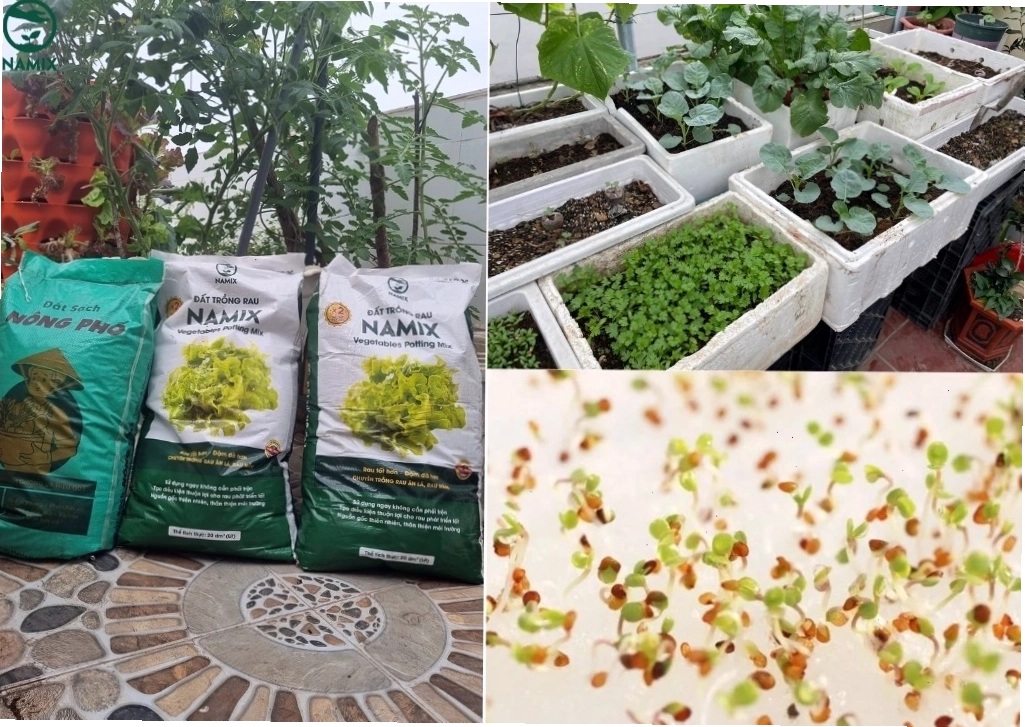 Sản phẩm đất trồng rau Namix chất lượng cao