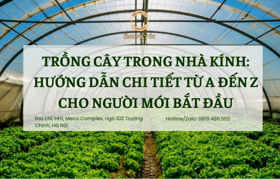 Sơ đồ cấu tạo cơ bản của một nhà kính nông nghiệp