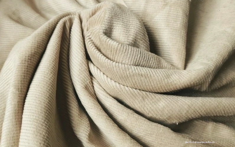 Sợi từ cây chà là dùng để sản xuất vải