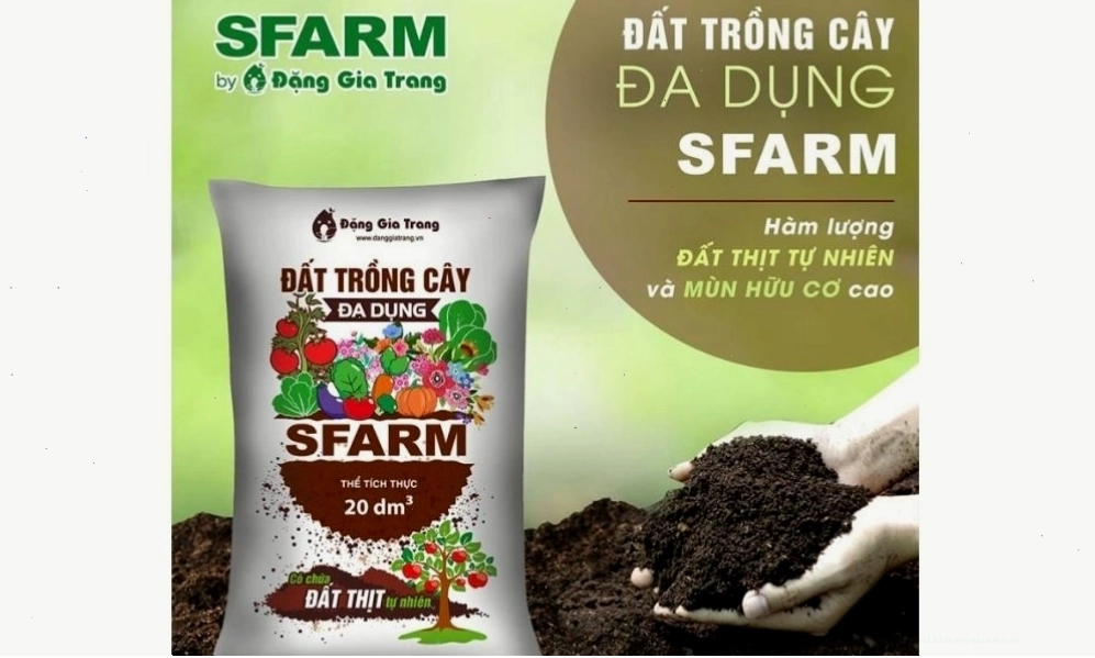 Sử dụng đất trồng cây đa dụng Sfarm cho cây việt quất