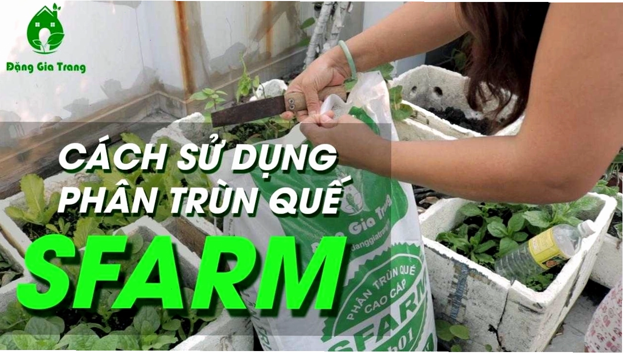 Sử dụng phân trùn quế để bón cho cây hoa đá