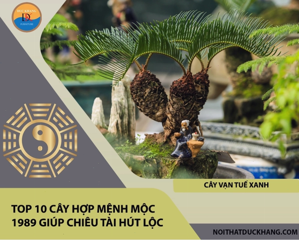 Tổng hợp các loại cây hợp mệnh Mộc 1989 giúp chiêu tài hút lộc