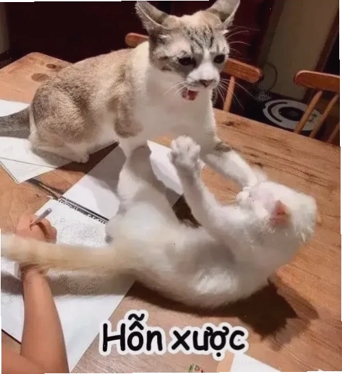 Tổng hợp các meme hài hước thể hiện tâm trạng cay cú