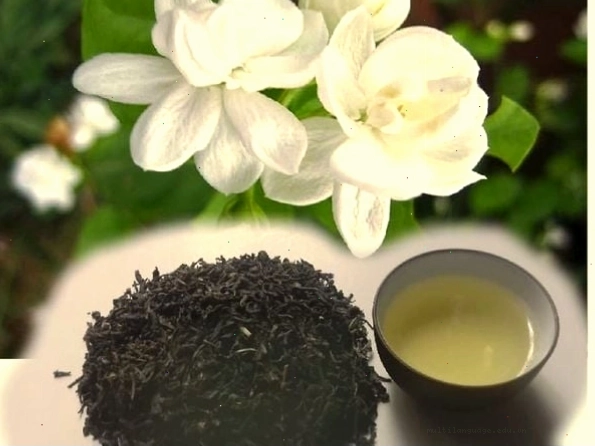 Trà hoa nhài tốt cho sức khỏe