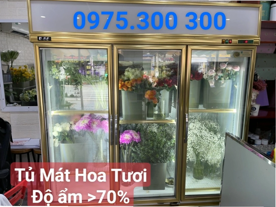 Tủ mát 3 cánh trưng bày hoa tươi