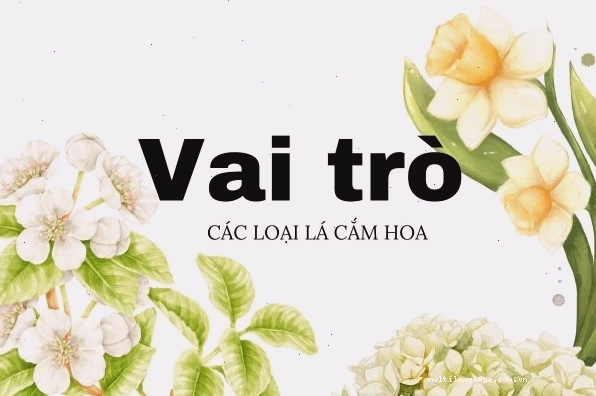 Vai trò của các loại lá cắm hoa trong việc tạo điểm nhấn cho bình hoa.