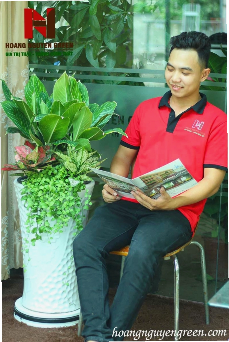 Vẻ đẹp rạng rỡ của cây bạch mã hoàng tử khi ra hoa