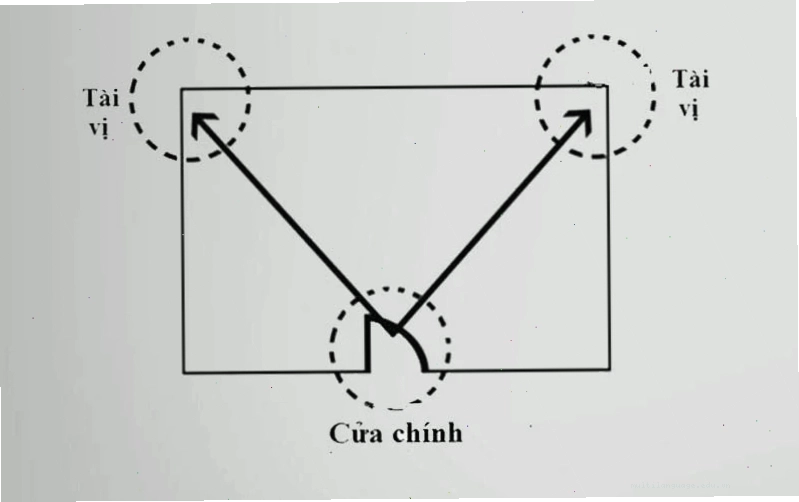 Vị trí đặt cây cảnh vạn tuế đúng phong thủy để chiêu tài, vượng khí cho gia đình