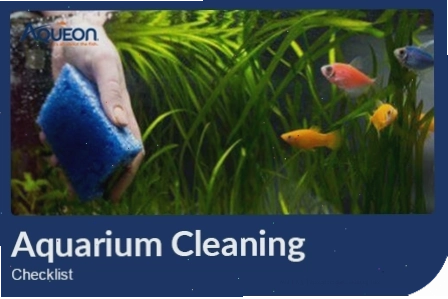 Aquarium cleaning checklist for weekly maintenance