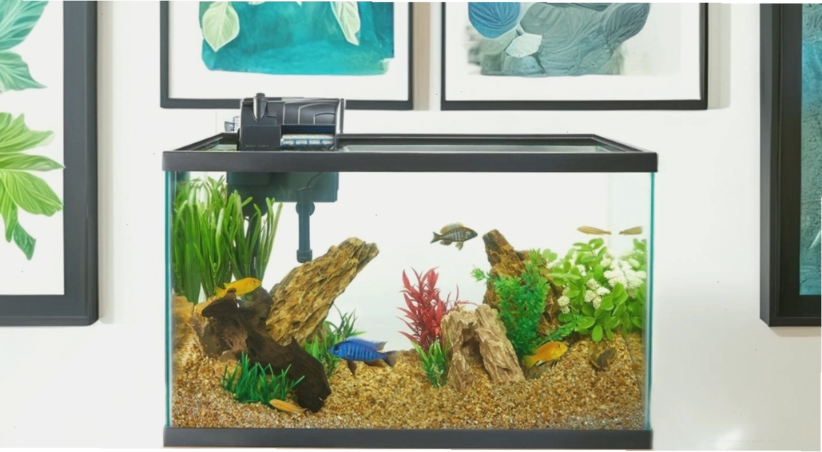 Selection of different aquarium filter models for small tanks