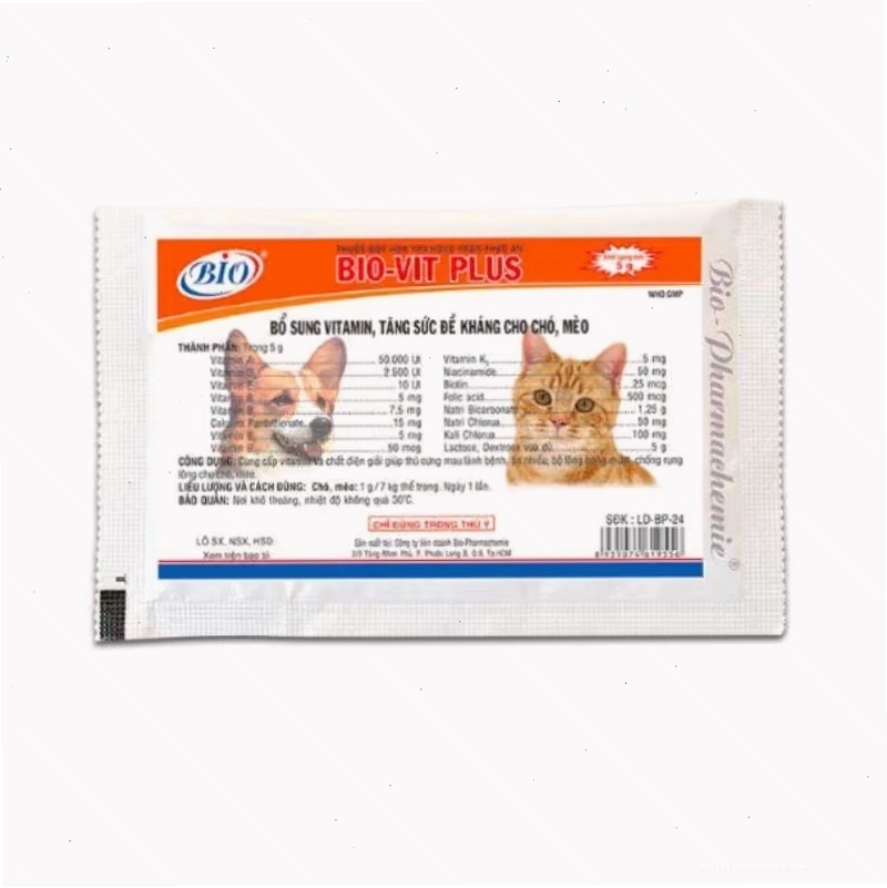 Bột Bio Vit Plus hỗ trợ tăng sức đề kháng cho chó